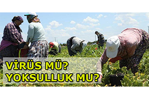 Virüs mü Yoksulluk mu