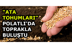 Ata Tohumları Polatlı da Toprakla Buluştu