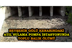 Beyşehir Gölü Kenarındaki Atıl Sulama Pompa İstasyonunda Toplu Balık Ölümü