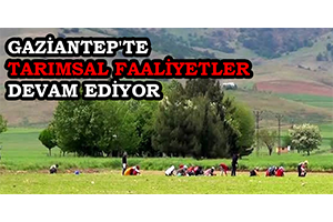Gaziantep te Tarımsal Faaliyetler Devam Ediyor