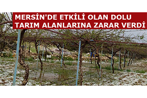 Mersin de Etkili Olan Dolu Tarım Alanlarına Zarar Verdi