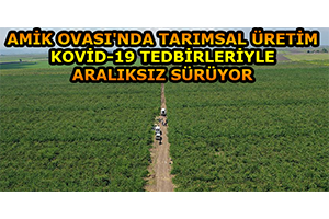 Amik Ovası nda Tarımsal Üretim Kovid 19 Tedbirleriyle Aralıksız Sürüyor