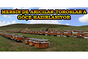 Mersin de Arıcılar Toroslar a Göçe Hazırlanıyor