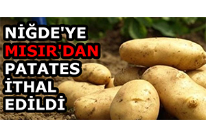 Niğde ye Mısır dan Patates İthal Edildi