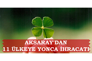 Aksaray dan 11 Ülkeye Yonca İhracatı