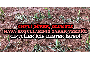 CHP li Gürer Olumsuz Hava Koşullarının Zarar Verdiği Çiftçiler İçin Destek İstedi