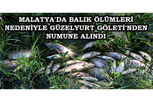 Malatya da Balık Ölümleri Nedeniyle Güzelyurt Göleti nden Numune Alındı