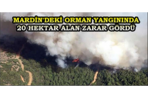 Mardin deki Orman Yangınında 20 Hektar Alan Zarar Gördü