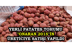 Yerli Patates Tohumu Onaran 2015 in Üreticiye Satışı Yapıldı