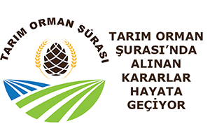 Tarım Orman Şurası`nda Alınan Kararlar Hayata Geçiyor