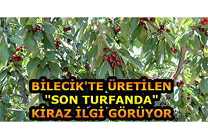 Bilecik te Üretilen Son Turfanda Kiraz İlgi Görüyor