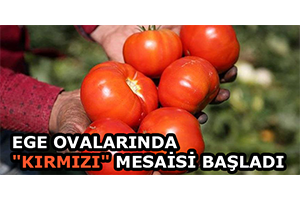 Ege Ovalarında `Kırmızı` Mesaisi Başladı