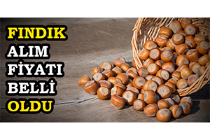 Fındık Alım Fiyatı Belli Oldu