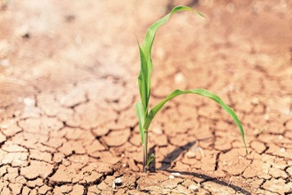 Bakanlıktan Kuraklık Uyarısı