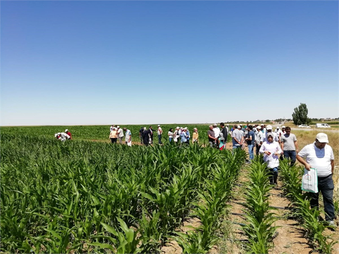 Uygulamalı Çiftçi Okulları Açılıyor
