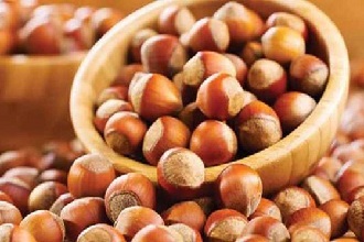 Fındık Alımına Başlandı