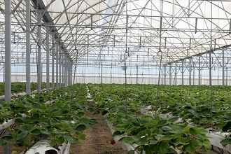 TİKA dan Moğolistan da Seracılığa Destek