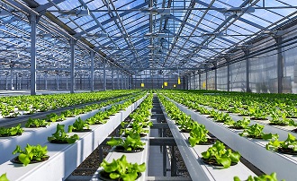 Denizli de Üreticilere Destek