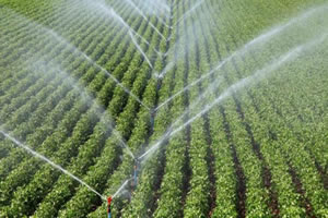 TEDAŞ TARIMSAL SULAMA BORÇLARINI YENİDEN YAPILANDIRIYOR