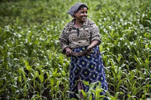 FAO KÜRESEL GIDA FİYATLARI TEMMUZDA ARTTI