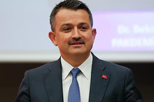 3 2 Milyon Lira Fındık Üreticilerimizin Hesaplarına Yatırıldı