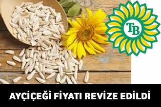 Trakya Birlik ayçiçeği avans alım fiyatını revize etti