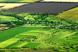 HAZİNEYE AİT TARIM ARAZİLERİ ÇİFTÇİLERE KİRALANACAK