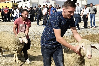 TİKA dan KKTC de Çiftçilere Destek