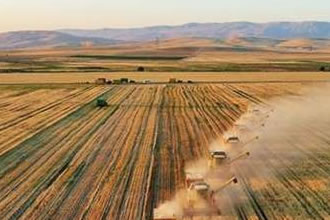 Tarım GFE Geçen Yıla Göre Arttı