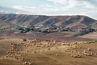 Şanlıurfa nın Bozkır Ekosistemleri Koruma Altına Alınıyor