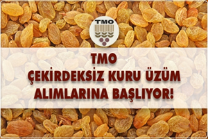 TMO KURU ÜZÜM ALIMLARINA BAŞLIYOR