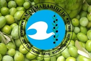 Marmarabirlik Ödemelere Bugün Başlıyor