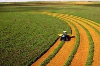 Trabzon a 2020 de 34 Milyon TL Hibe Desteği Verildi