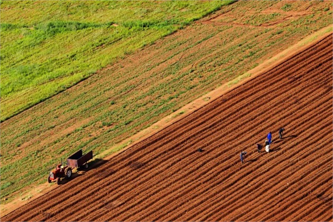 2022 Yılı Tarımsal Destek Bütçesi Belirlendi