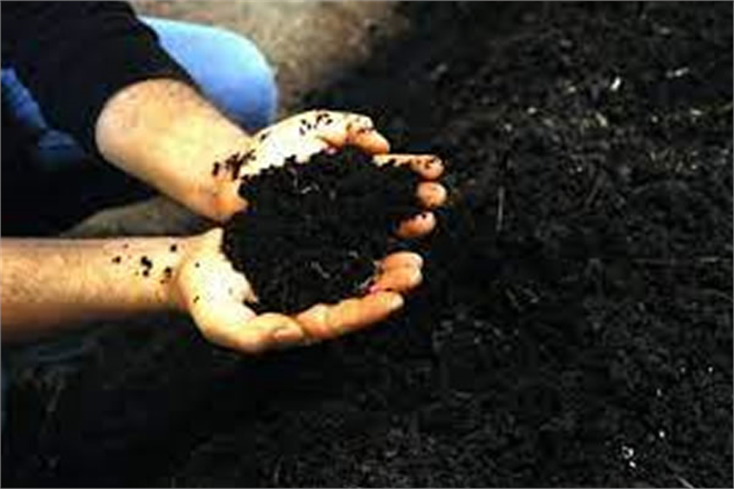 ERDEK BELEDİYESİ SOLUCAN GÜBRESİYLE ZENGİNLEŞTİRİLMİŞ BAHÇE TOPRAĞI ÜRETİYOR