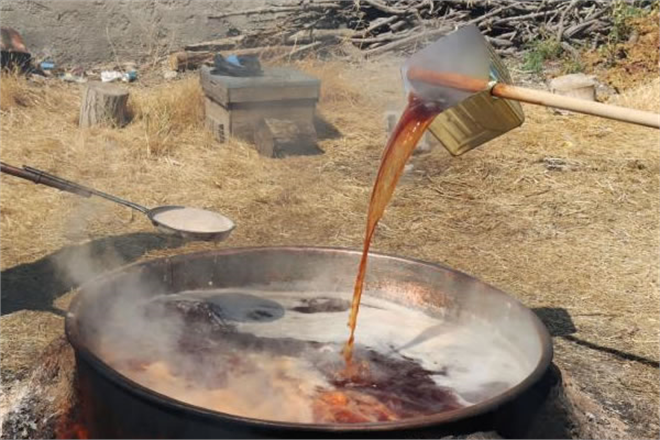 KİLİS`İN ORGANİK ÜZÜM PEKMEZİ İÇİN KAZANLAR KAYNIYOR