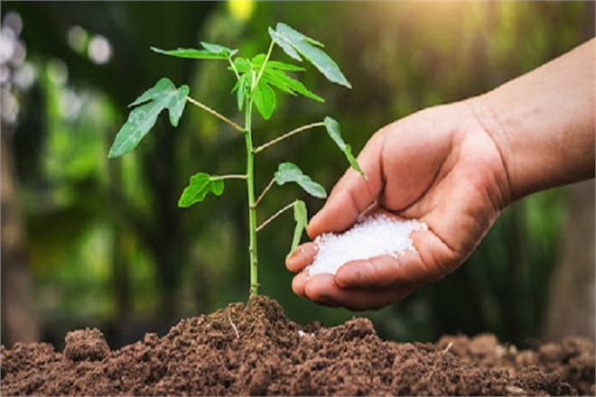 GÜBRE DESTEKLERİNİ YÜZDE 100 ARTIRARAK ÖDEYECEĞİZ