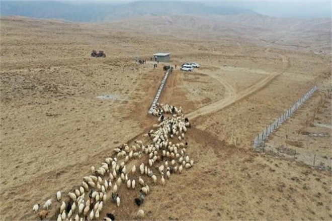 Van`da Yaylada 15 Bin Hayvanın Su İhtiyacını Karşılayacak Çalışma Tamamlandı