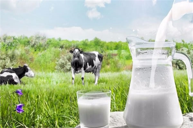 Ulusal Süt Konseyi Soğutulmuş Çiğ Süt Tavsiye Fiyatı