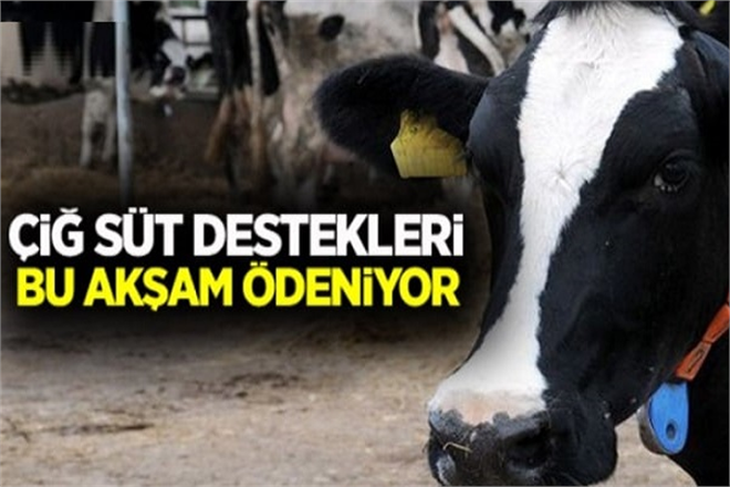 BAKAN PAKDEMİRLİ YAKLAŞIK 809 MİLYON LİRALIK DESTEK ÖDEMESİNİ BU AKŞAM ÜRETİCİLERİMİZİN HESAPLARINA AKTARMAYA BAŞLIYORUZ