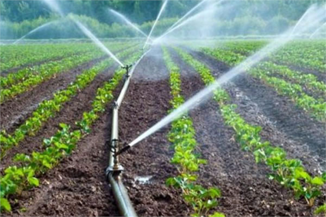 DESTEK BAŞVURU ŞARTLARI RESMİ GAZETEDE