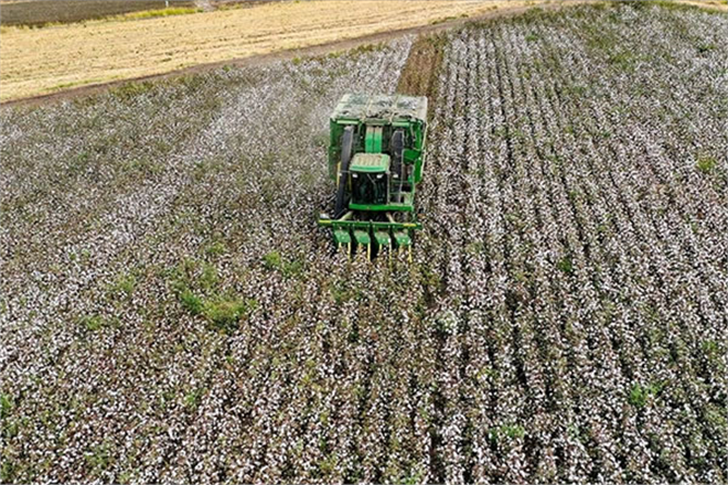 TARIM SİGORTALARINDA 2022 DEKİ RİSKLER VE DESTEKLER BELİRLENDİ