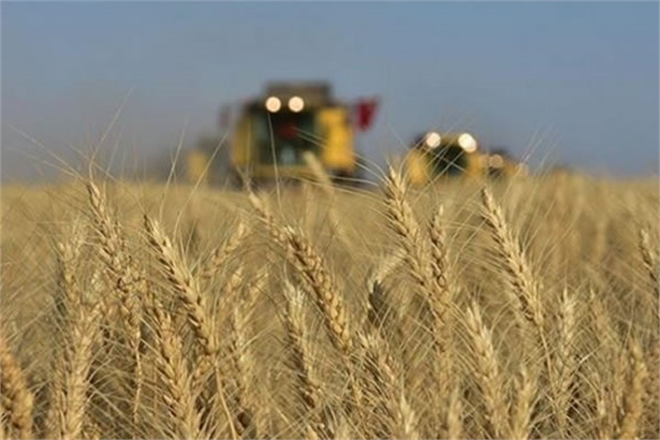 KIRSAL KALKINMA DESTEKLERİ RESMİ GAZETEDE