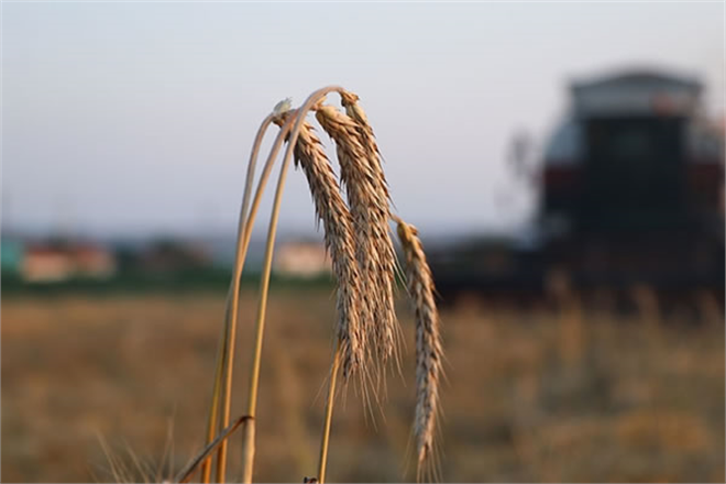 TARIMSAL İŞLETMELERE 600 LİRA DESTEK VERİLECEK