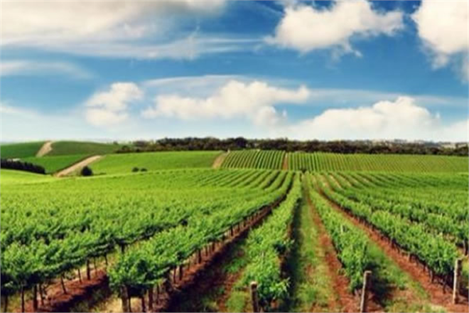 FESİH İŞLEMLERİ BAKANLIK İZNİYLE YAPILACAK!