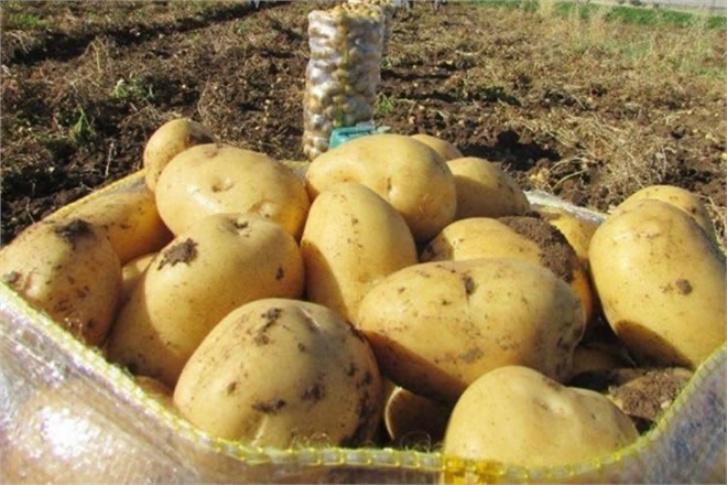 TZOB TAN MARKET FİYATLARI AÇIKLAMASI