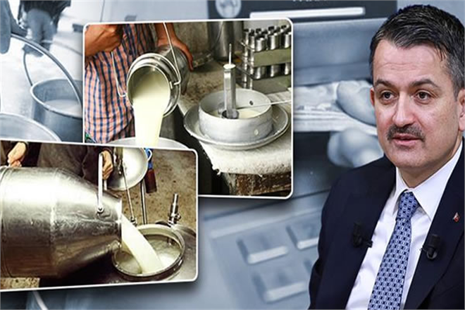 ÇİĞ SÜT DESTEKLERİ BUGÜN BAŞLIYOR