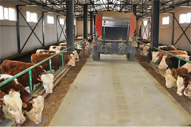 8 YILDA ÇİFTLİK SAHİBİ OLDU