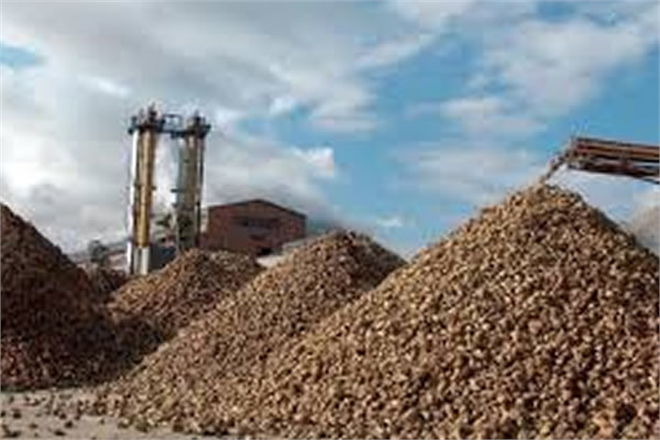 PANCAR VE ŞEKER ÜRETİMİNDE TÜM ZAMANLARIN REKORU KIRILDI