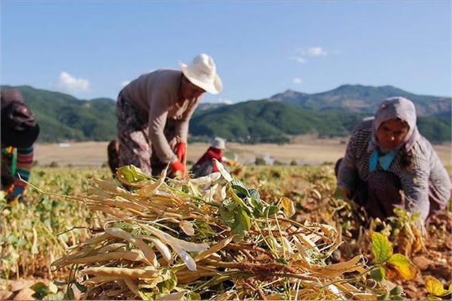 TZOB BAŞKANI BAYRAKTAR KADIN ÇİFTÇİLER İÇİN YIPRANMA HAKKI TALEP ETTİ